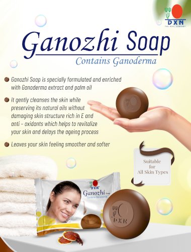 Ganozhi Soap 80g